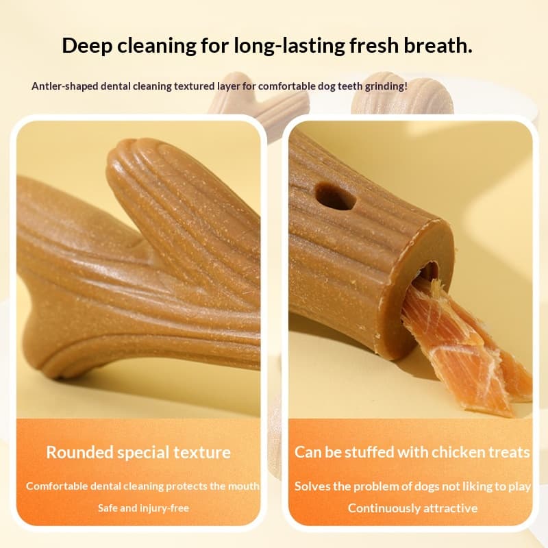 Pet Toy Dog Bone Bite-resistant Teeth-cleaning Made From Natural Pine Wood