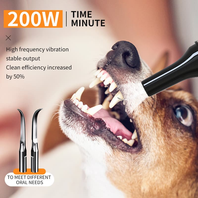 Pet Ultrasonic Dental Scaler Electric Teeth Cleaning Device For Cats And Dogs