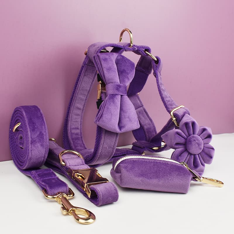 Plush Dog Collar And Leash Pet Supplies
