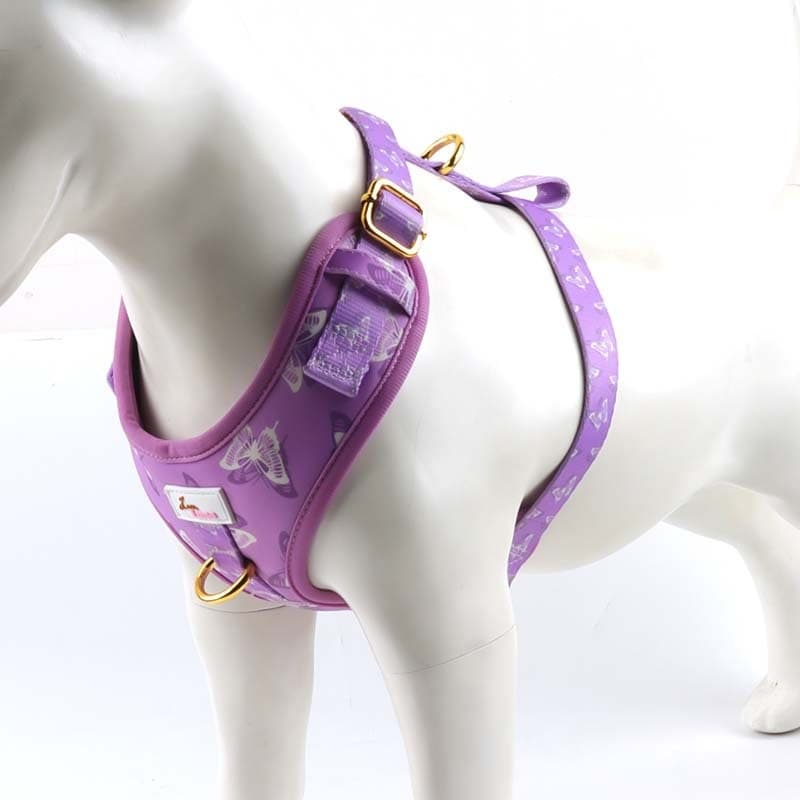 Dog Outfit Pet Extra-large Collar And Leash