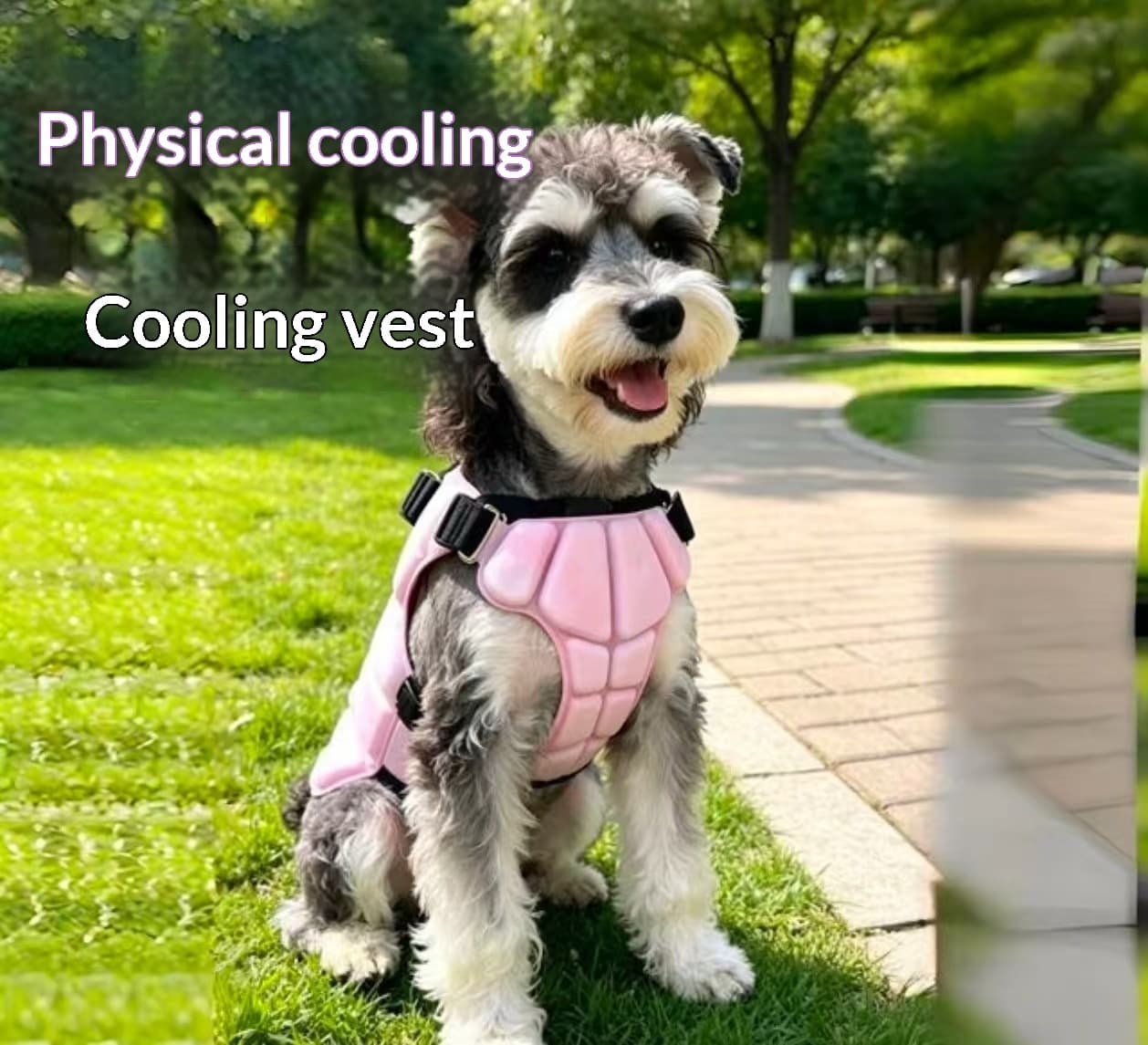 Physical Cooling Phase Change Ice Pad For Dogs