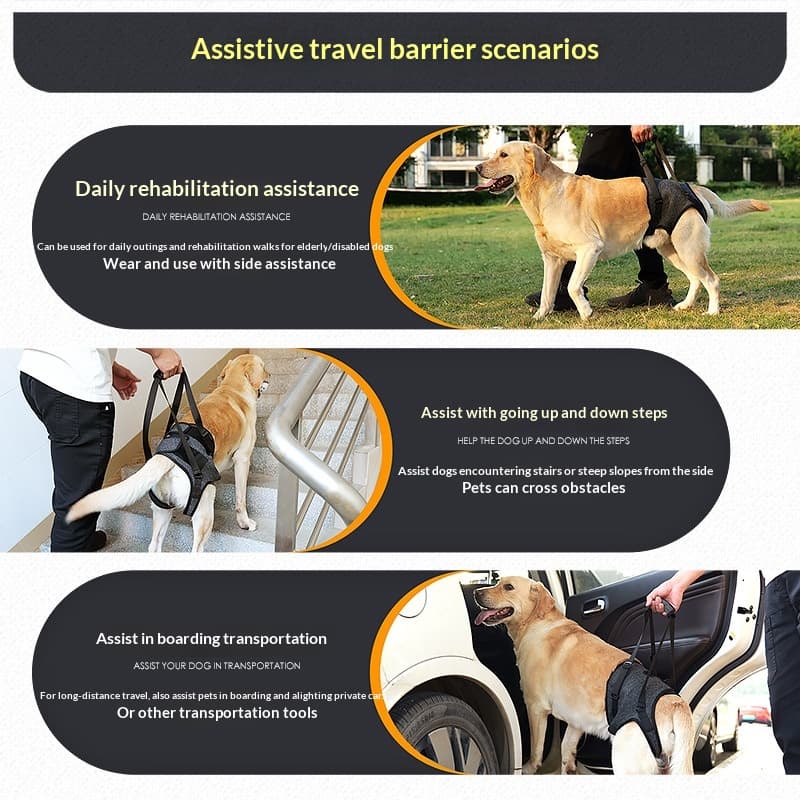 Retractable Dog Rehabilitation Harness