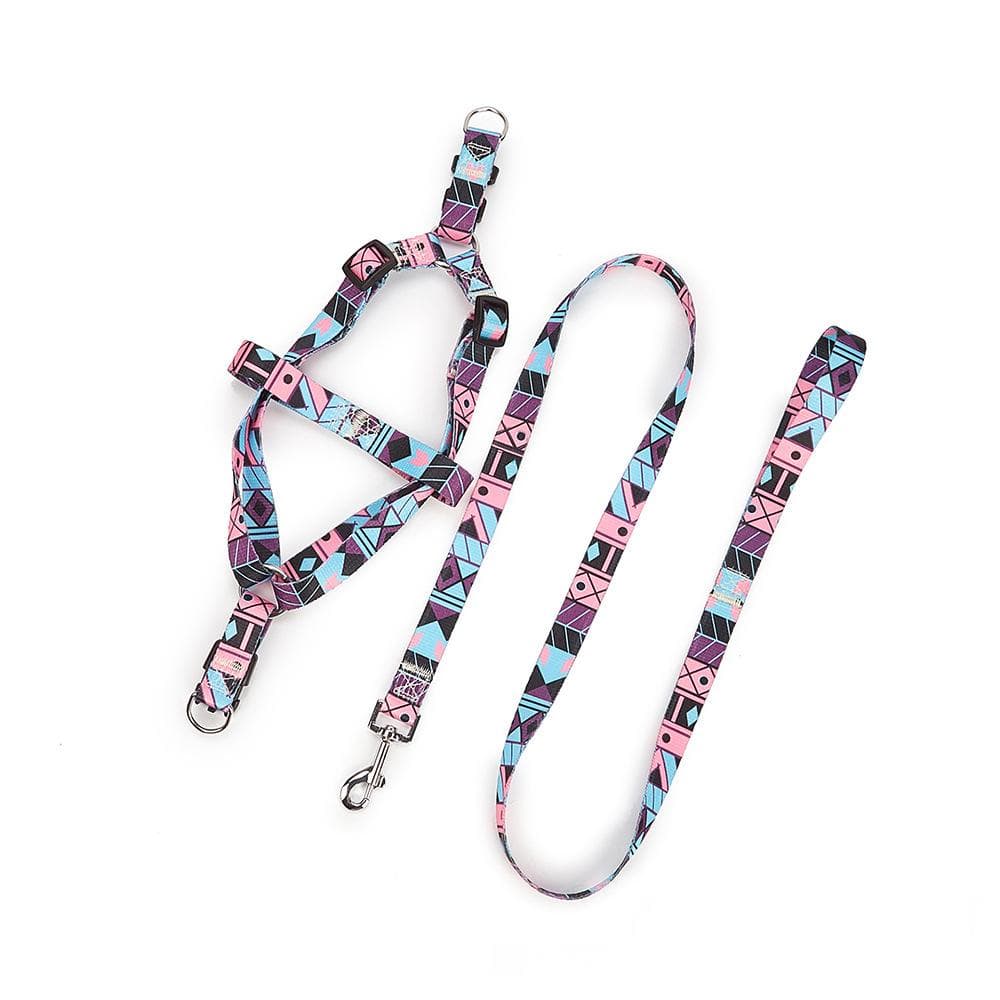 Nylon Medium-sized Dog Leash